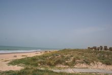 Costa Ballena Beach Mercers www.spanishptoperty.co.uk