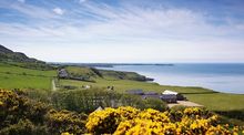 Llyn Peninsula hillside