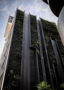 Waterfall by Crown Group at Waterloo, Sydney