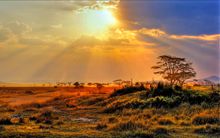 On Safari in Kruger Park, one of the tours included in Newmarket Holidays’ new Exclusive range On Safari in Kruger Park, one of the tours included in Newmarket Holidays’ new Exclusive range
