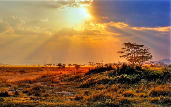 On Safari in Kruger Park, one of the tours included in Newmarket Holidays’ new Exclusive range On Safari in Kruger Park, one of the tours included in Newmarket Holidays’ new Exclusive range