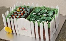 4- One of the winners - a vegetable patch cake