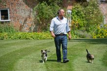 Travers Nettleton, Homesitters client