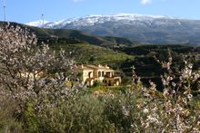 La Finca del Castillo Arabe
