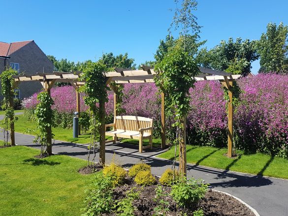 Communal gardens at Mickle Hill